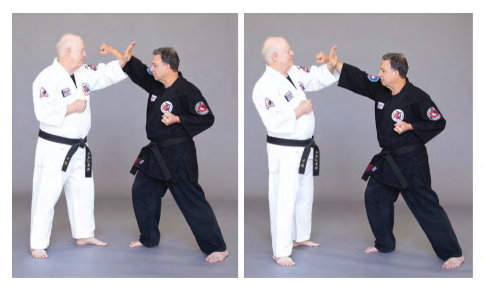 Budoshin Jujitsu's Classification of Blocking Techniques Epitomizes Simplicity