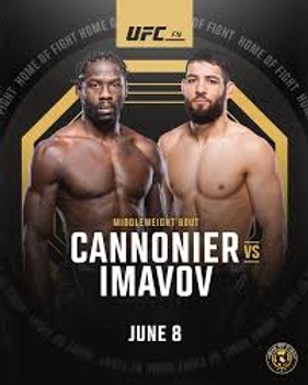 Jared Cannonier vs. Nassourdine Imavov
