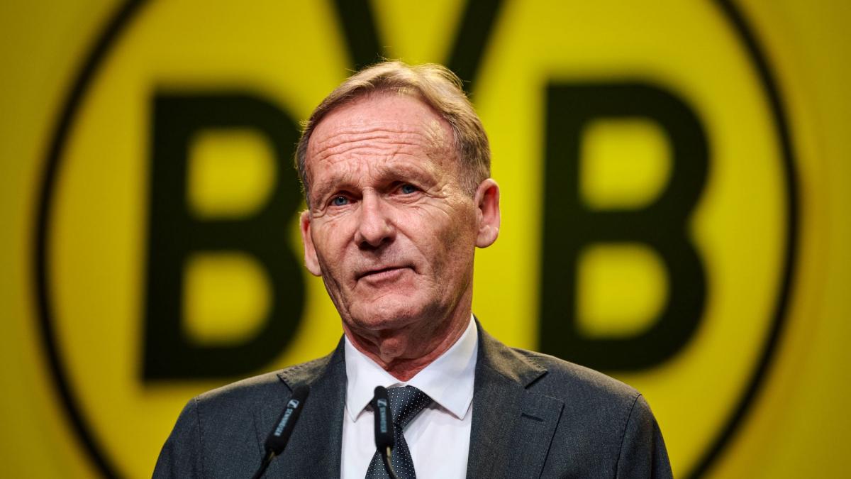 Dortmund: Predsednik brani sporazum sa proizvođačem oružja Rajnmetal