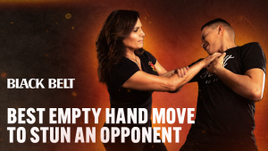 Best Empty Hand Move The Black Belt List
