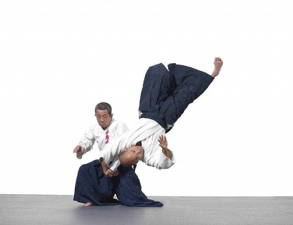 Daito-Ryu 101