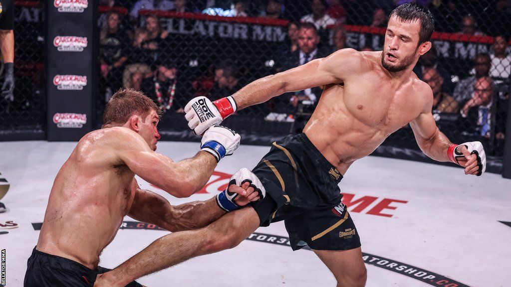 Bellator postavio dve borbe za titulu za kasno leto 2024