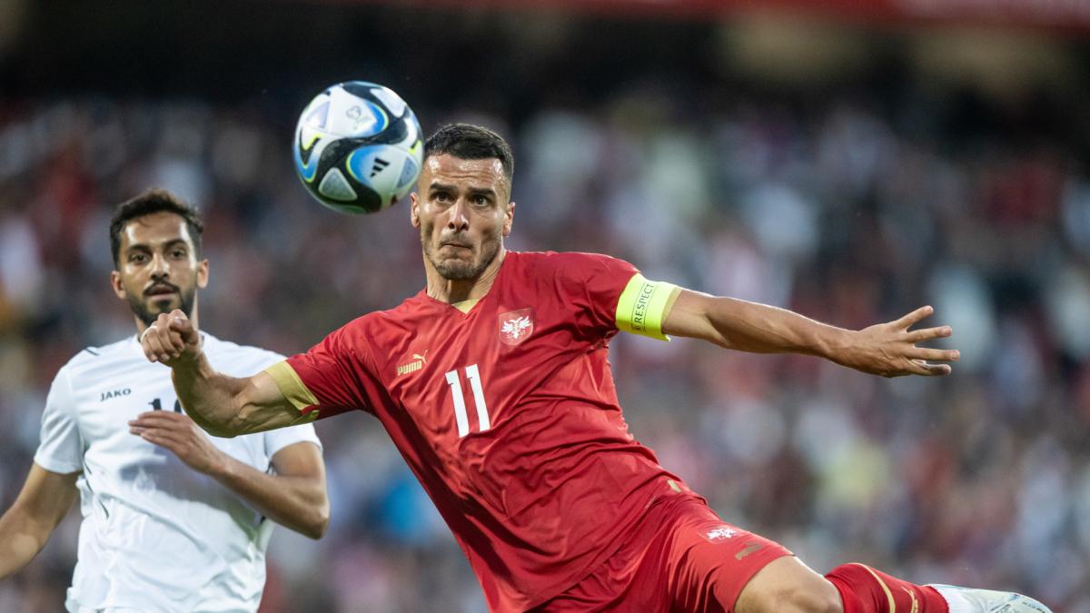 Euro 2024: Sedam srpskih navijača privedeno