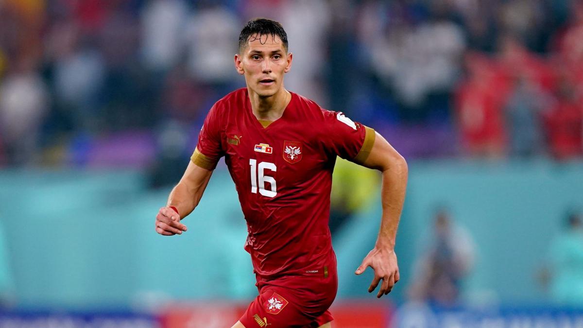 Euro 2024: Sukobi navijača i policije u trening kampu Srbije