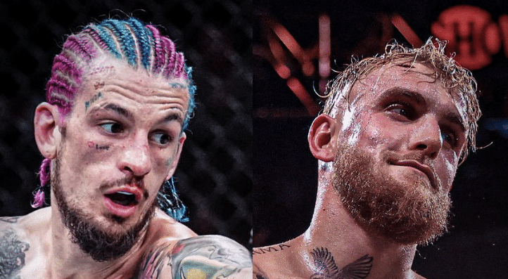 Jake Paul accepts Sean O'Malley's Call Out, Wants An MMA Fight At UFC 303