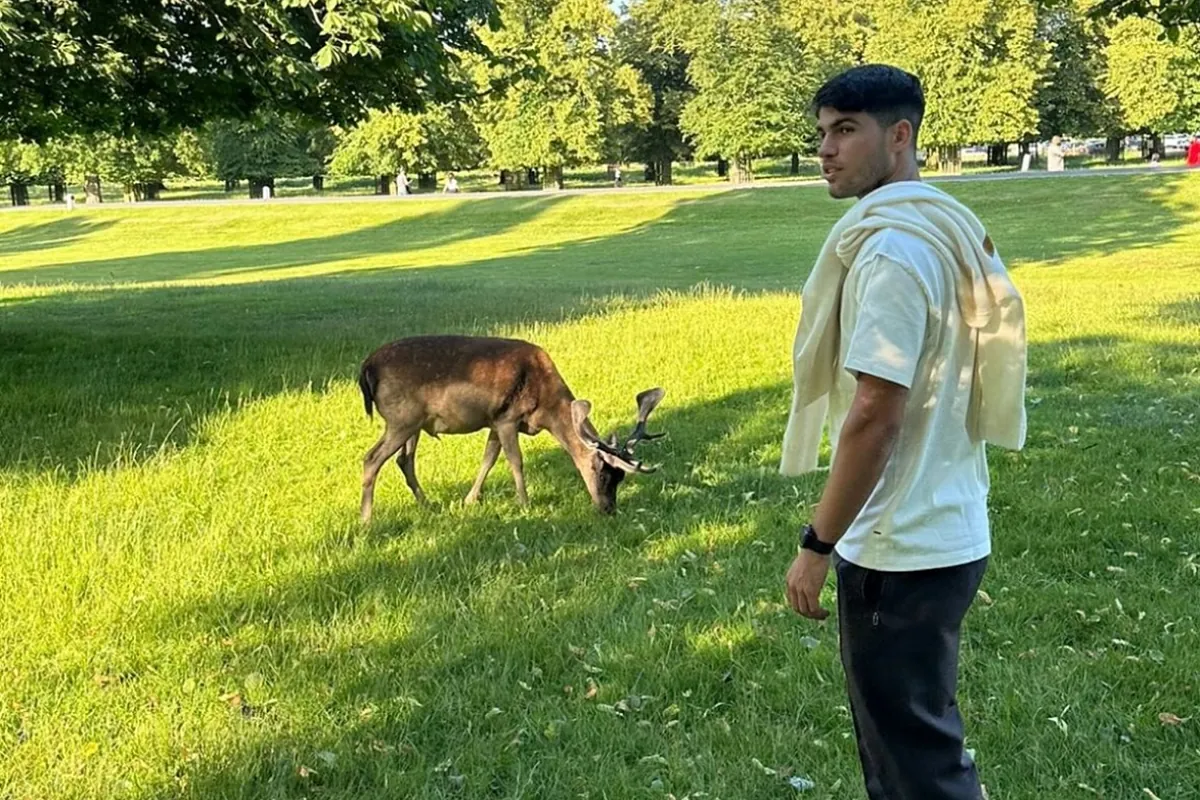 Karlos Alkaraz šeta među divljim jelenima u Buši parku na dan odmora