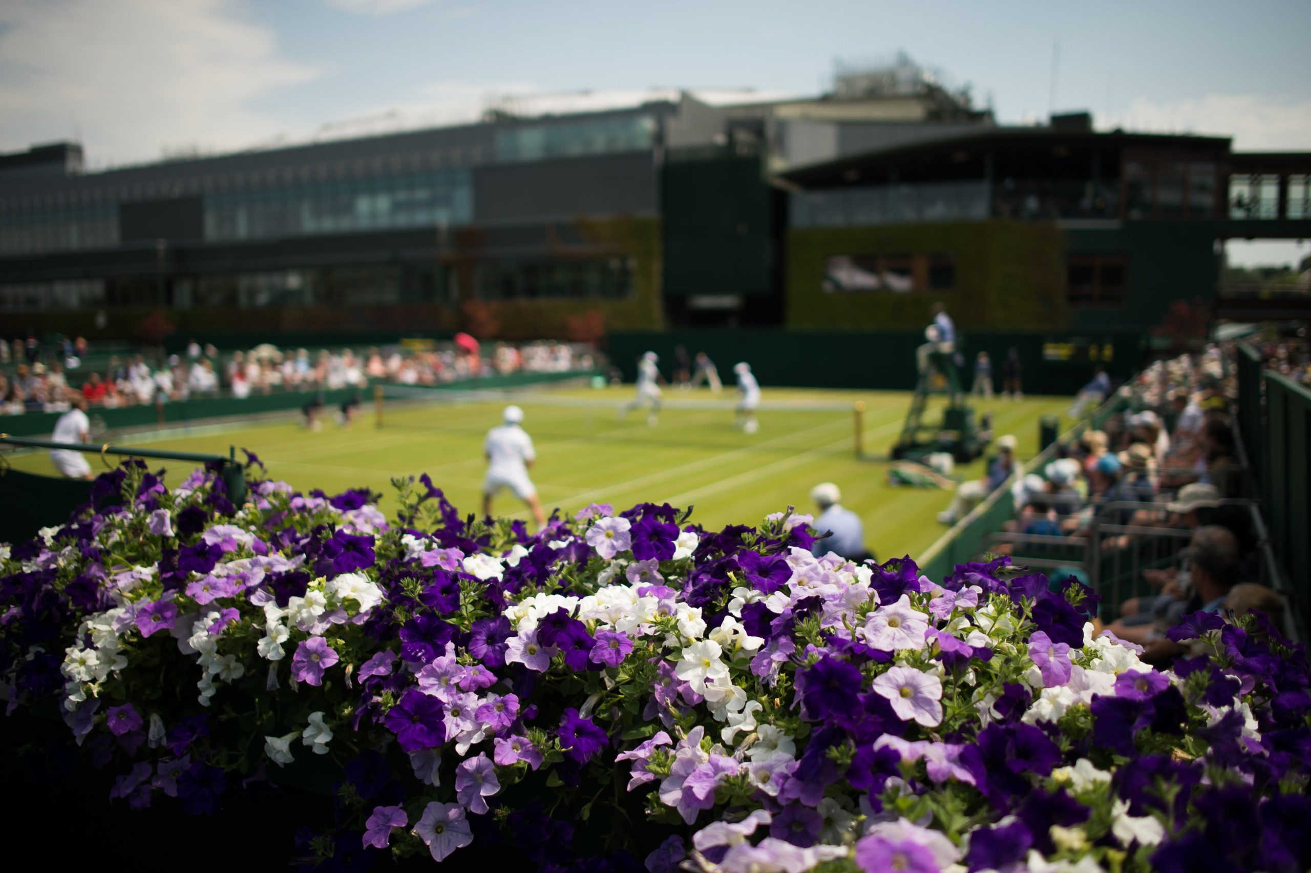 The Tennis Traveler: Top 5 stvari koje treba da uradite tokom Vimbldona