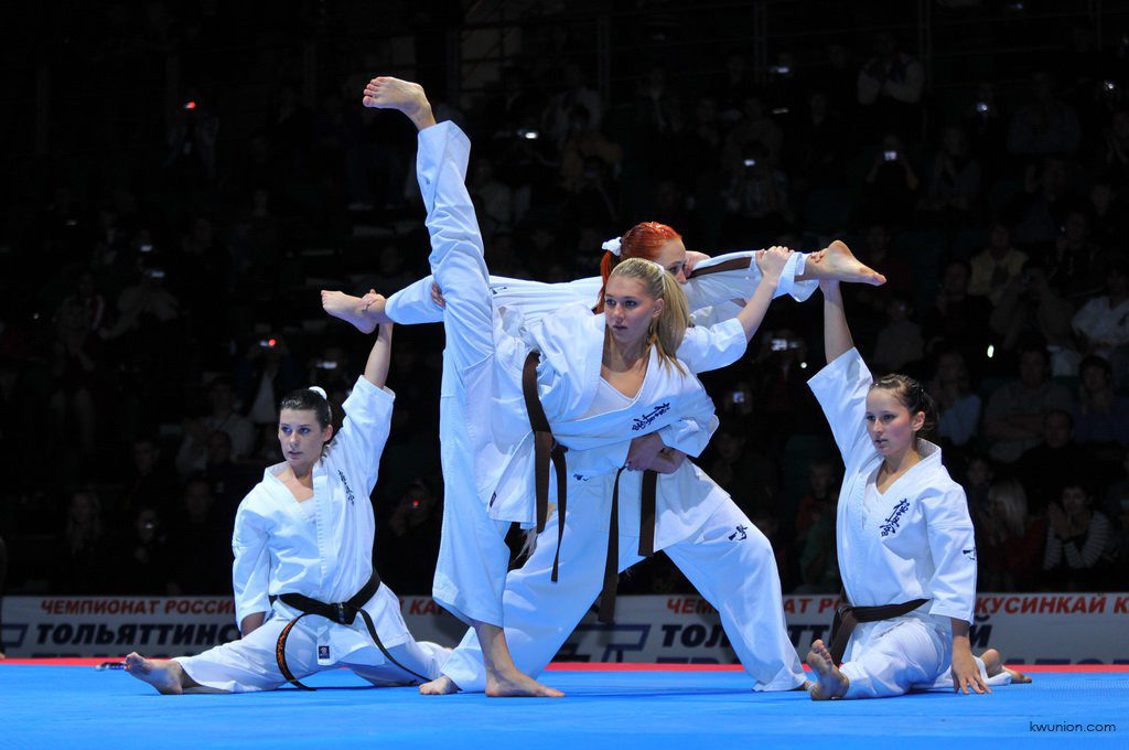 Kiokushin karate