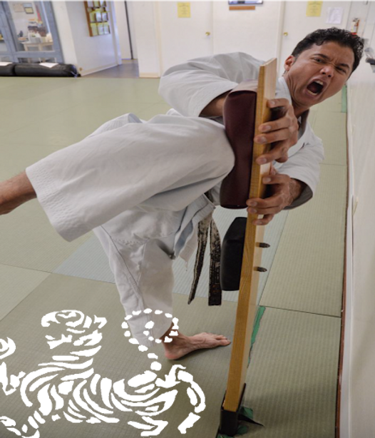 Kajl Funakoshi