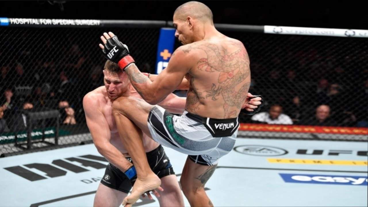 Alek Pereira vs Andreas Michailidis