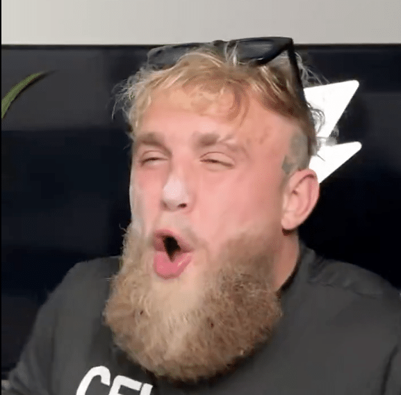 Jake Paul Trolova McGregora u parodijskom videu