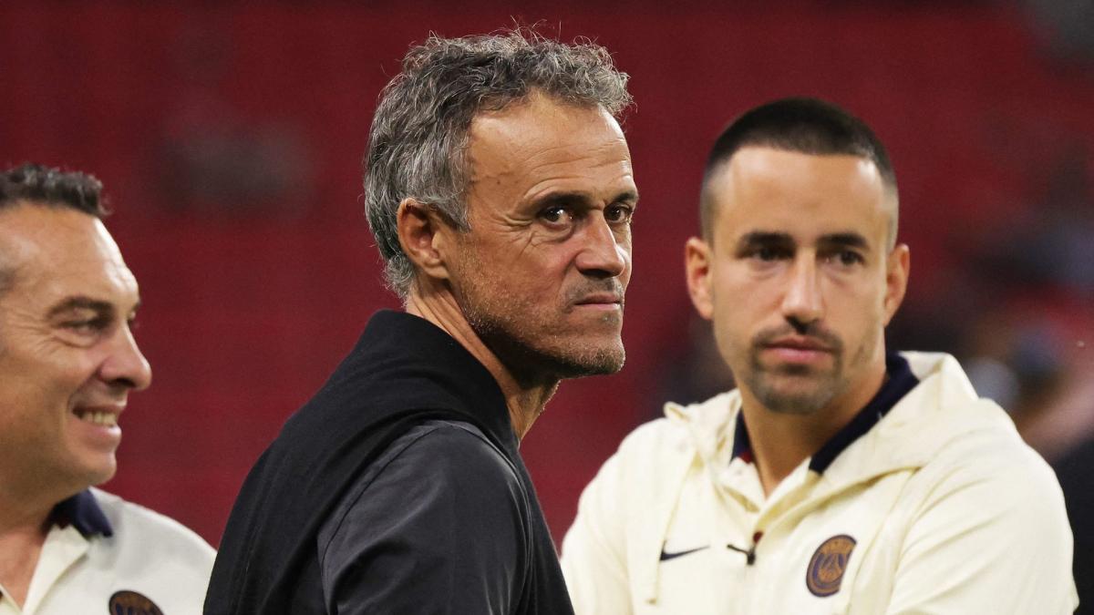 Luis Enrike uzbuđen predlogom Michela Platinija