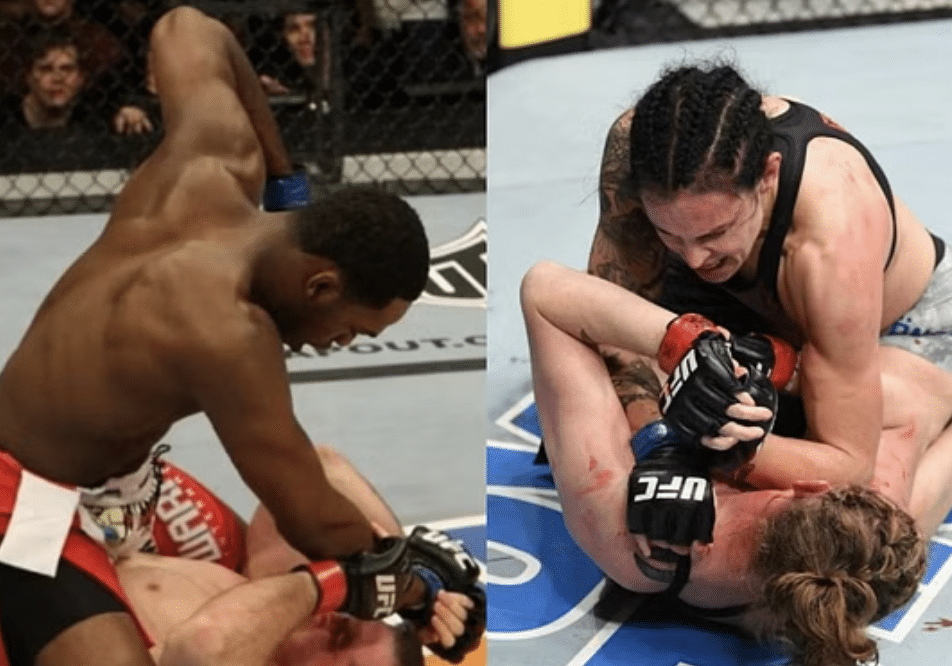 Njujorška komisija za usvajanje novih MMA pravila za UFC 309