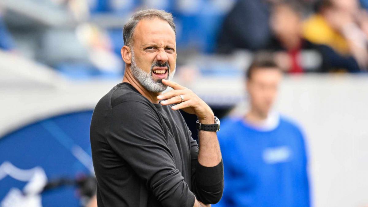 Hofenhajm vatrogasni trener Pellegrino Matarazzo