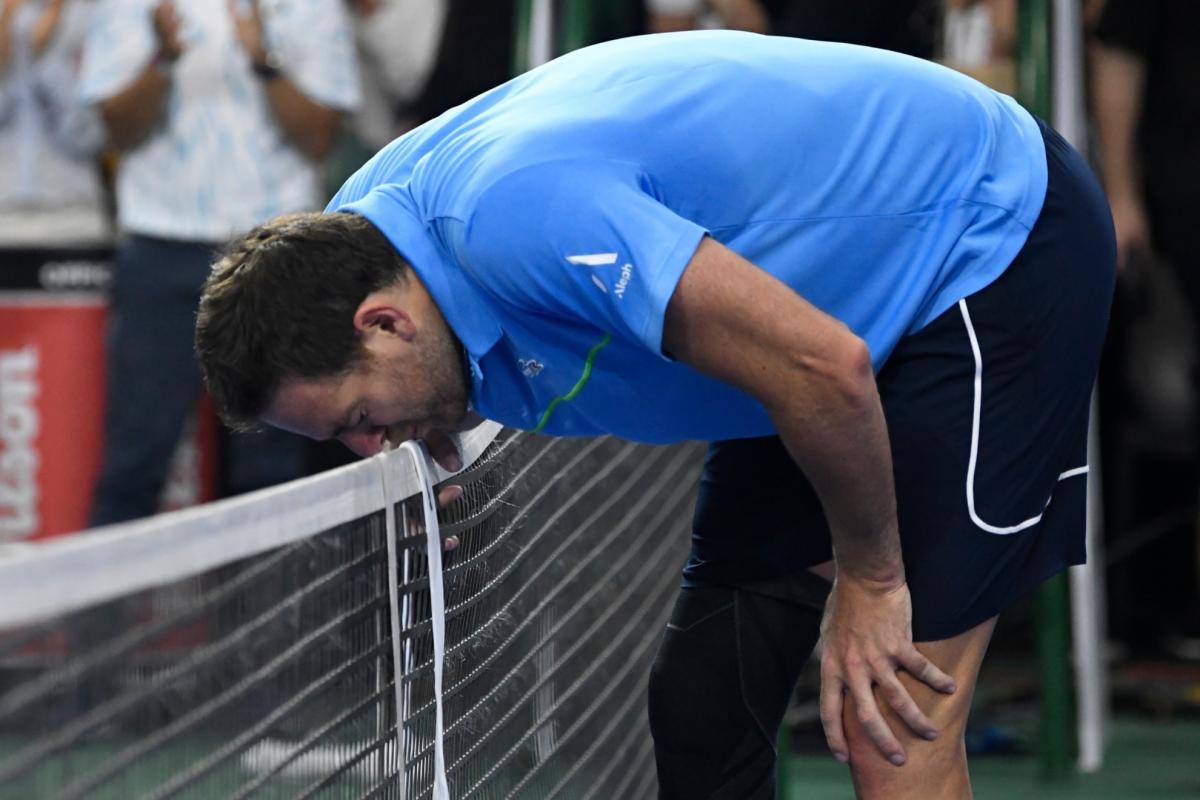 Del Potrov oproštaj pokreće tenis: "Čak i ako plačem, srećan sam"