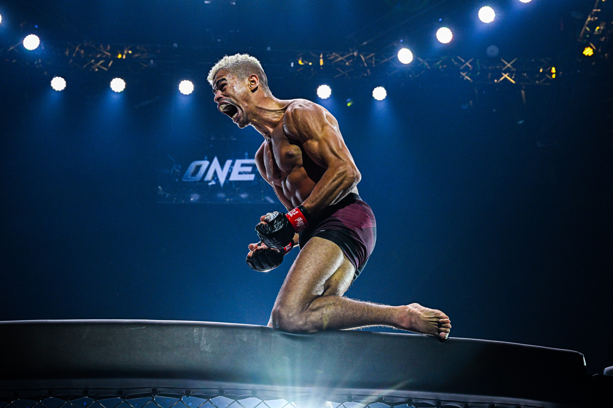 Fabricio Andrade Kwon Won Il ONE 170 3