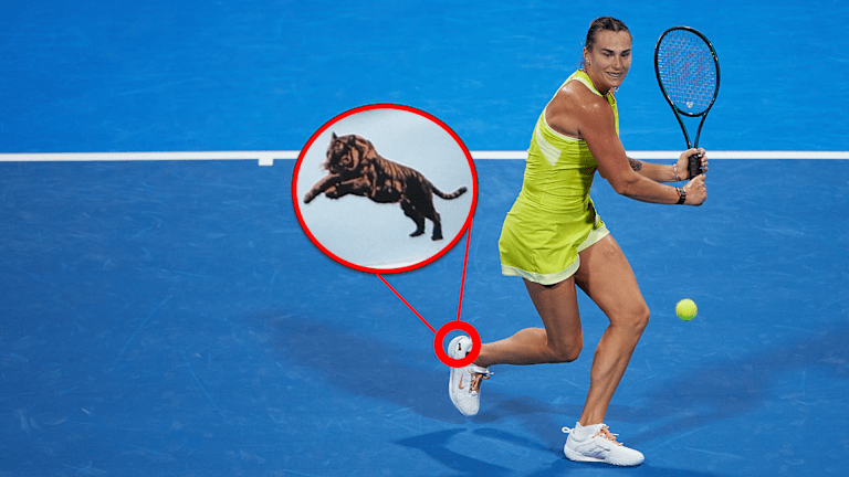 Navijači sa orlovim očima primetili su Sabalenkinu prepoznatljivu životinju koja se pojavljuje u obliku logotipa na njenim Nike patikama tokom 2025 Australian Open.