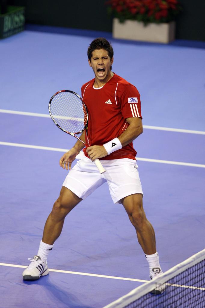 Fernando Verdasco u finalu Dejvis kupa 2008 protiv Argentine