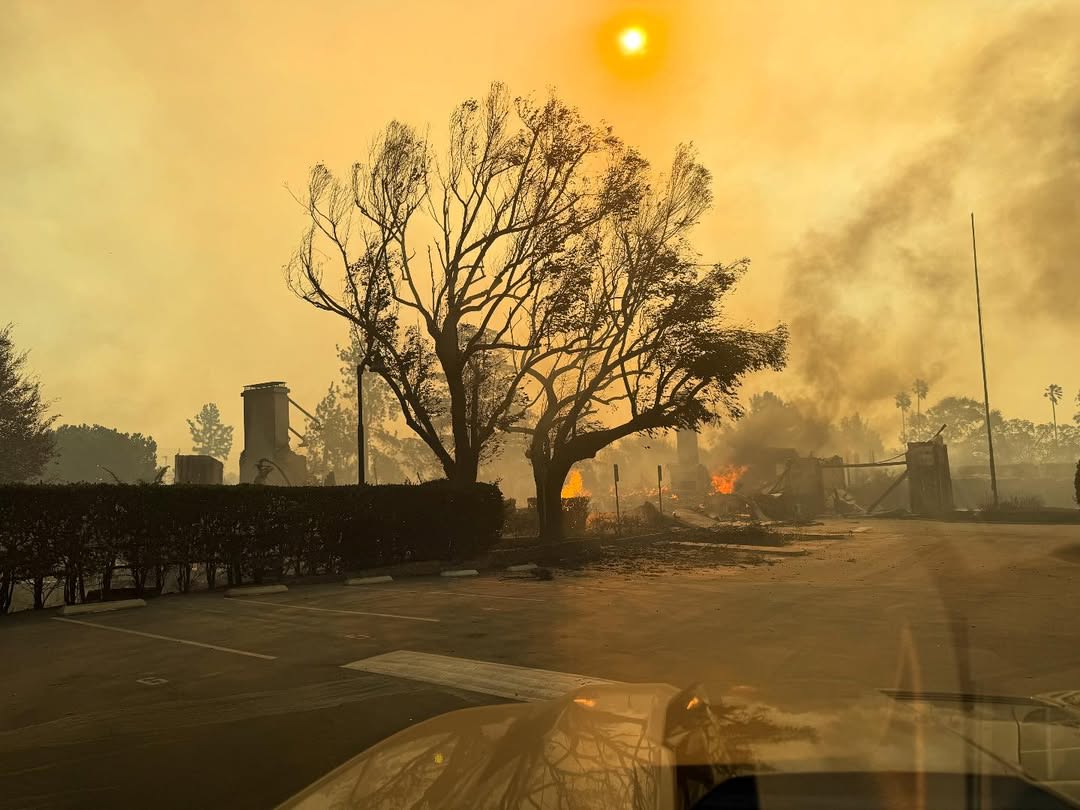 Teniske zajednice Altadena i Pacific Palisades pogođene, povređene i isceljene od razornih požara