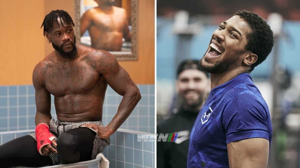 Vajlder vs Joshua