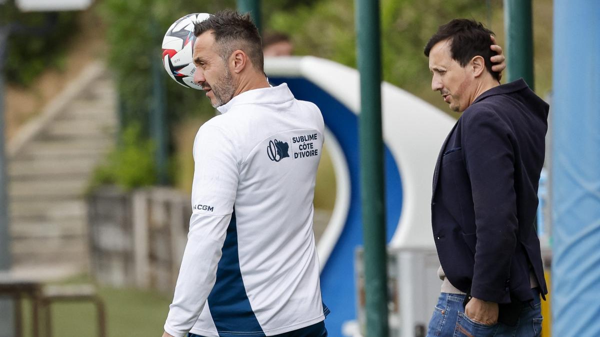 Potpuno luda bekstejdža letnjeg kampa OM-a