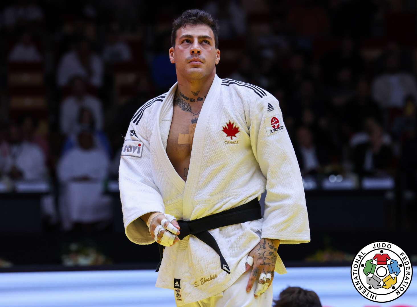 Ontario je u usponu džudo zvezde sijaju na Pan American Championships