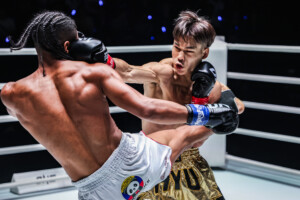 Srpskohrvatski / srpskohrvatski