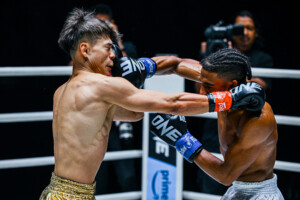 Srpskohrvatski / srpskohrvatski