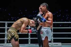 Srpskohrvatski / srpskohrvatski