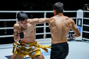 Srpskohrvatski / srpskohrvatski