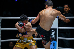 Srpskohrvatski / srpskohrvatski