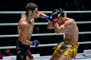 Srpskohrvatski / srpskohrvatski