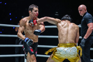 Srpskohrvatski / srpskohrvatski