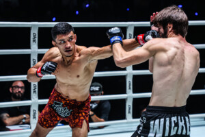 Srpskohrvatski / srpskohrvatski