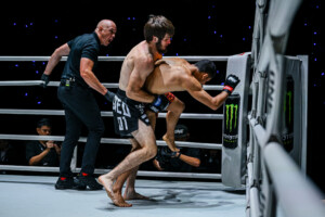 Srpskohrvatski / srpskohrvatski