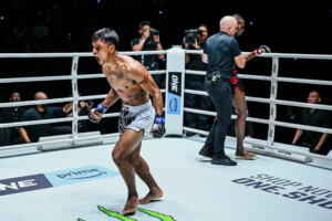 Srpskohrvatski / srpskohrvatski