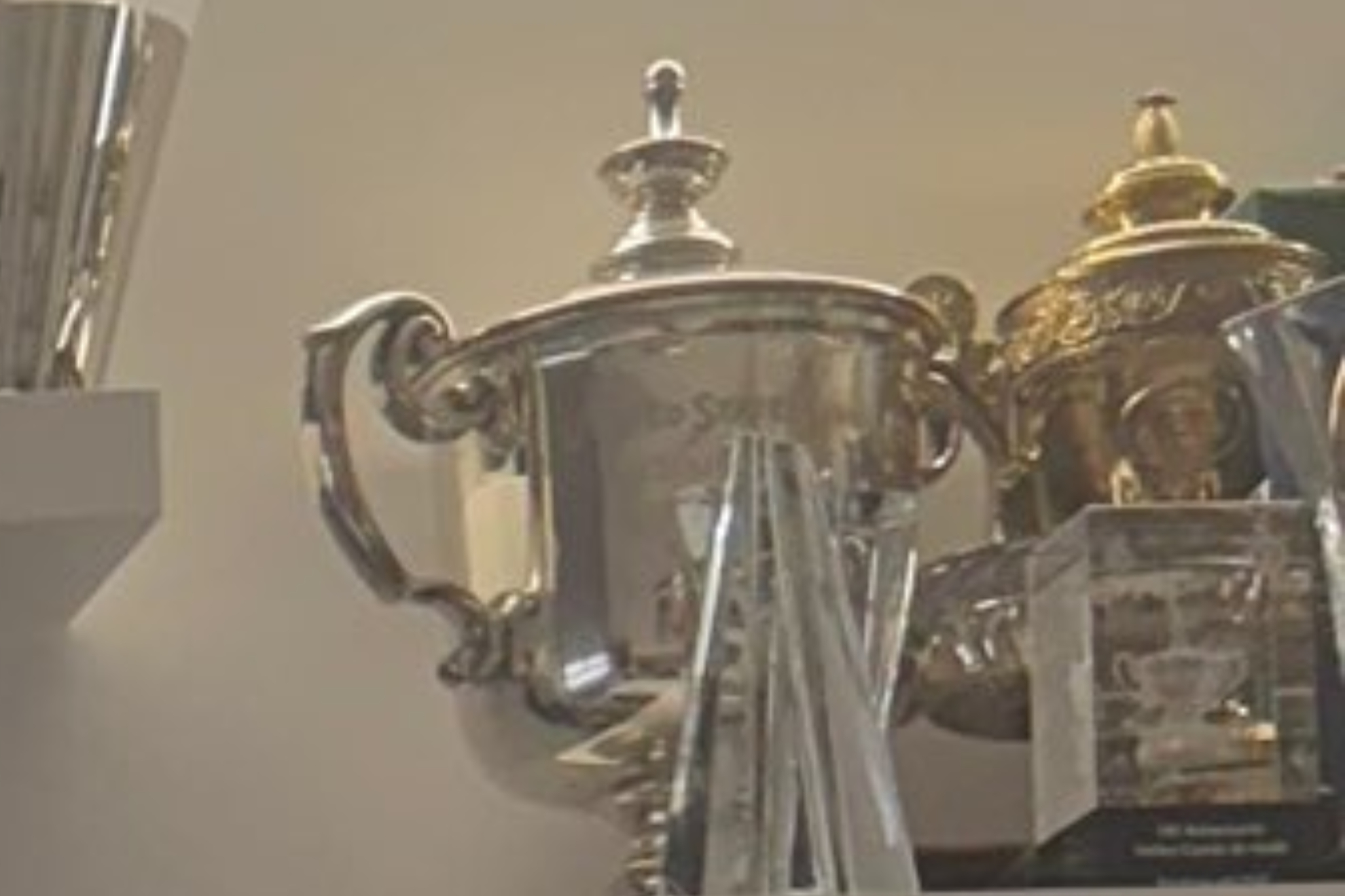 Otvoreno prvenstvo i Vimbldon trofeji u Alkarazovoj porodičnoj kući.