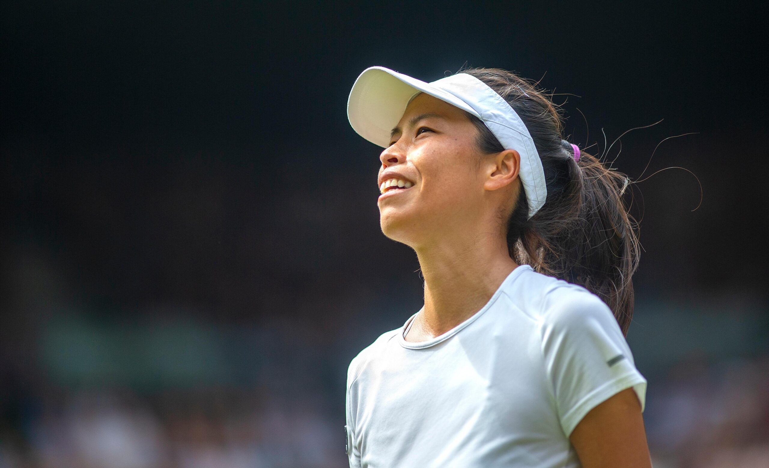 Srećan rođendan, Hsieh Su-vei! 40 statistika za 40. rođendan tajvanskog pionira