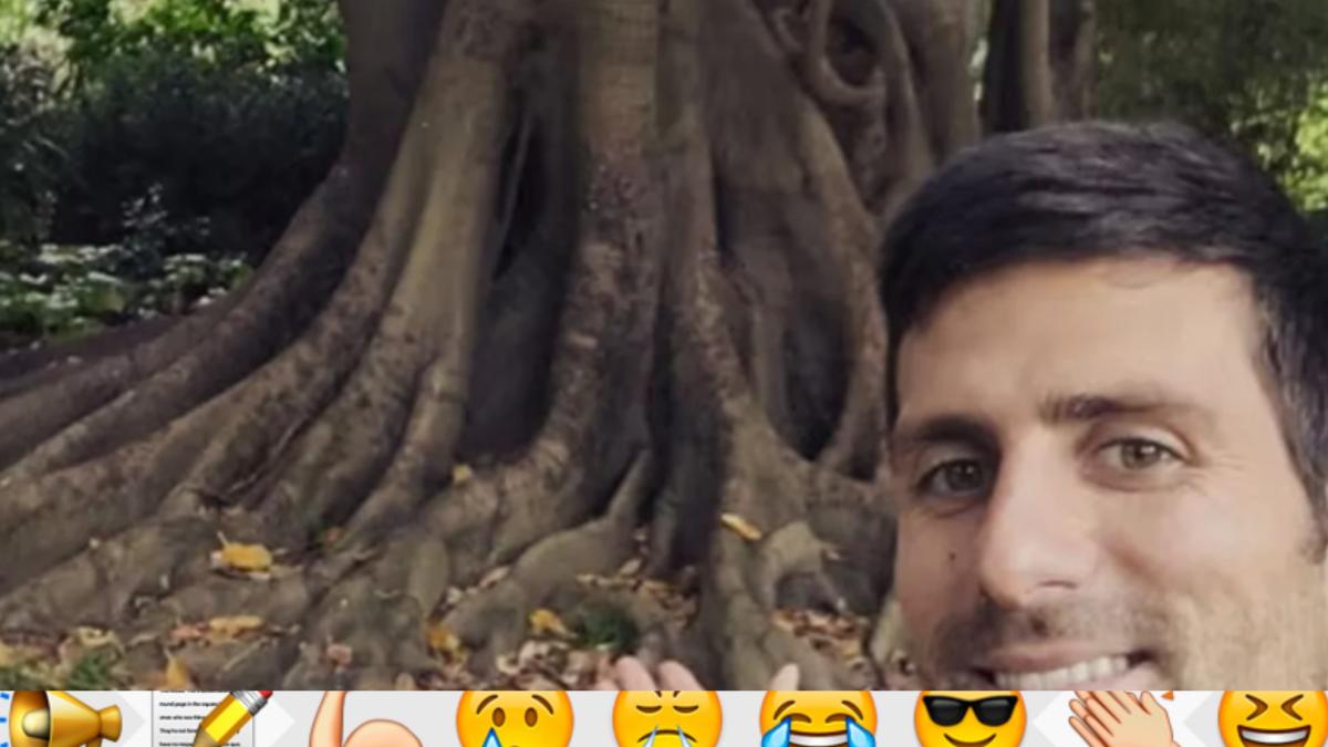 Đokovićeva tajna u Melburnu: on grli drvo koje mu daje snagu