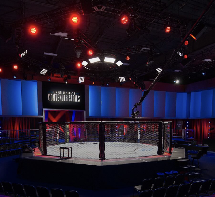 Meta obezbeđuje prava na imenovanje UFC APEKS-a