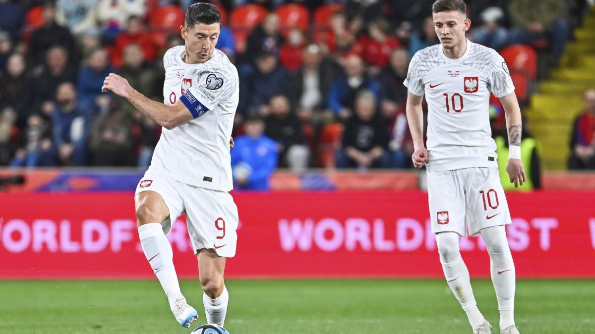 Ren prati poljski internacionalac