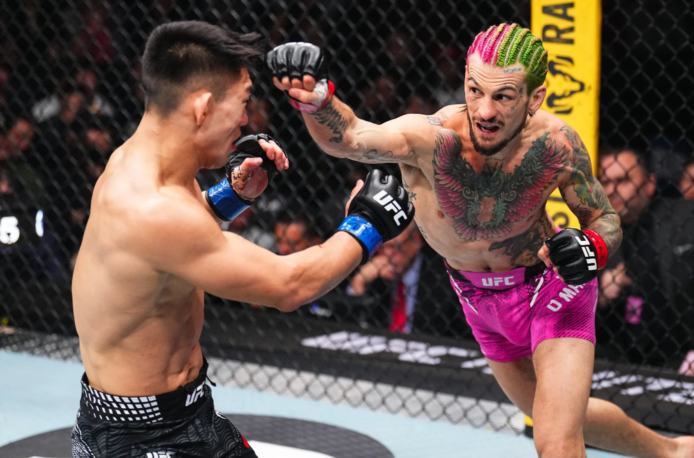 Sean O'Malley Outpoints Song Yadong u Co-Main Event na UFC 324