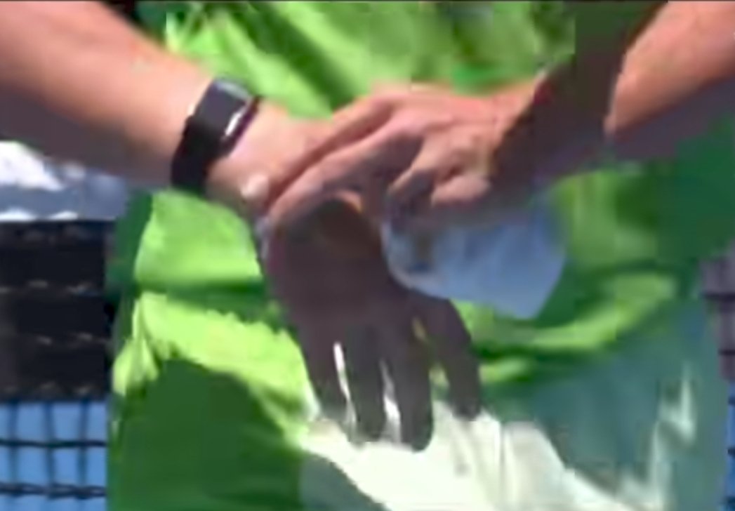 Vhoop koji Alcaraz koristi.