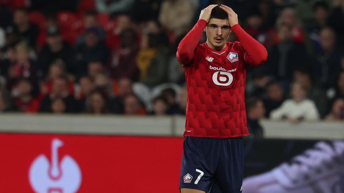 Užasna statistika LOSC krize