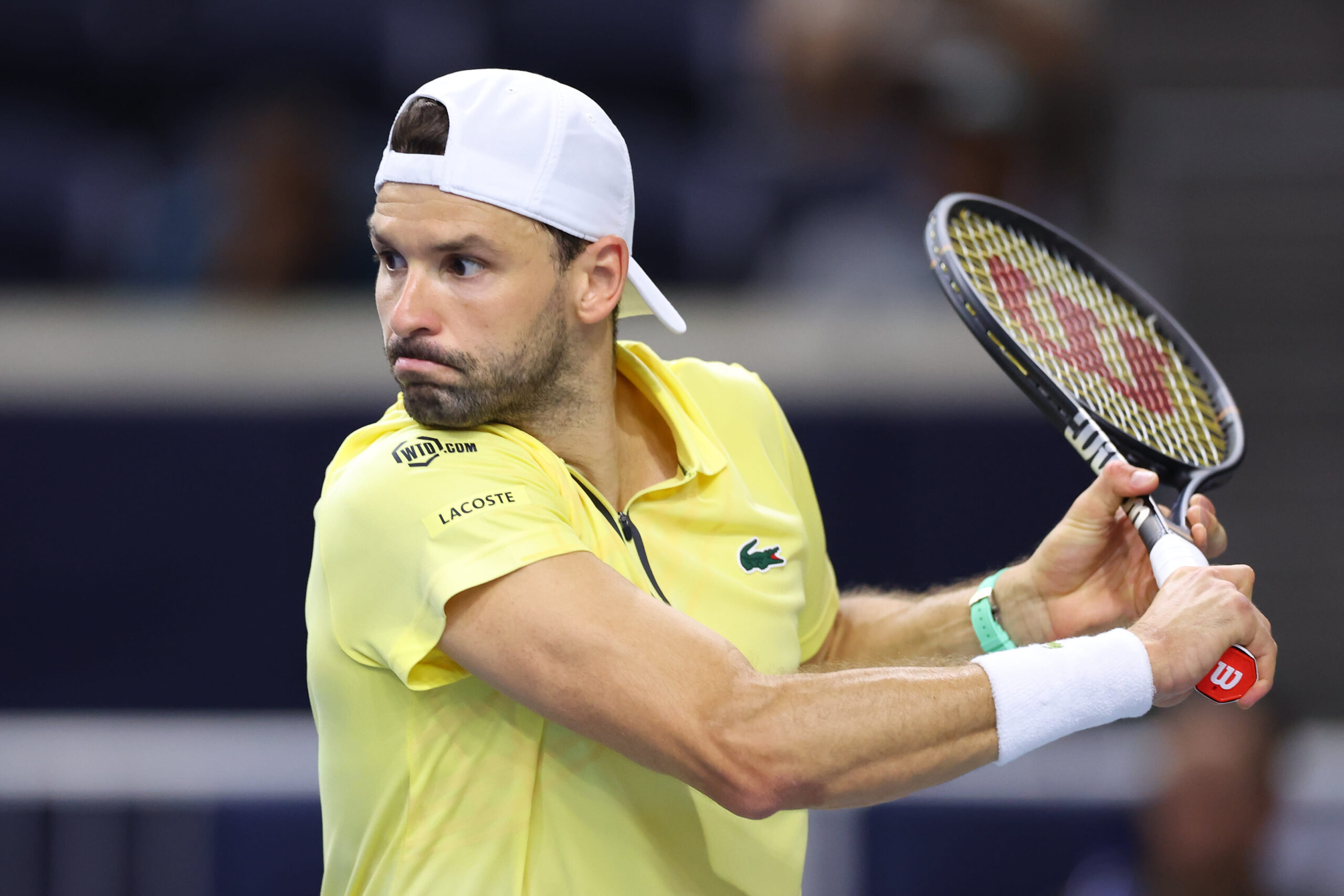 Grigor Dimitrov dodaje Davida Nalbandiana u trenerski tim u nadi da će se "ponovo naći na istom mestu"