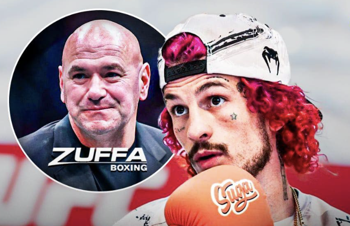 O'Mallei cilja na Zuffa bokserske mogućnosti
