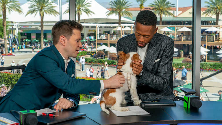 Toliko kućnih ljubimaca!