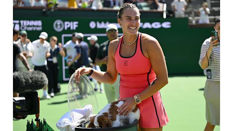 Otopljeni led bio je savršena prilika za piće za Cavalier King Charles španijela.