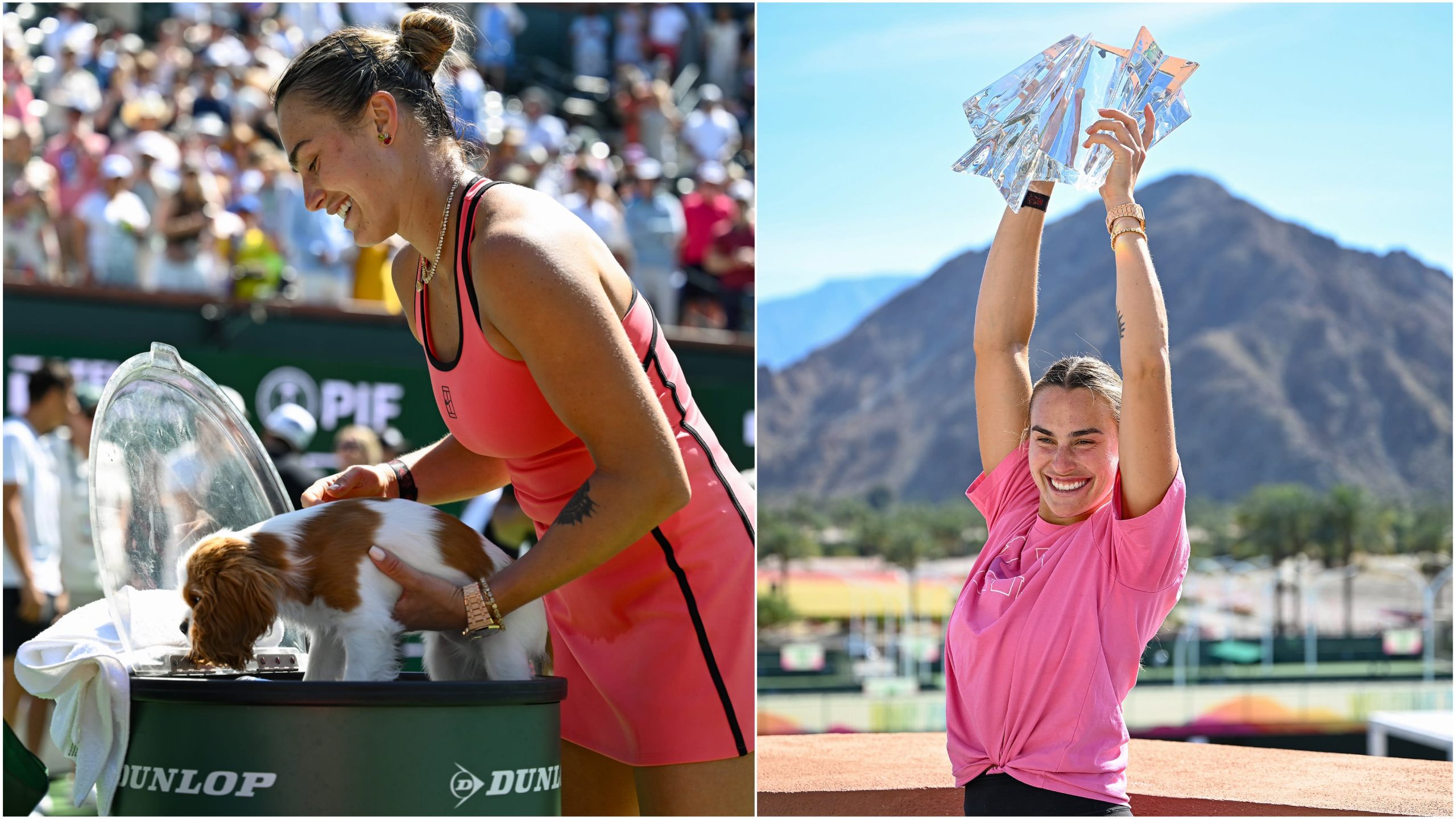 BTS: Arina Sabalenka daje štenetu Ash ledenu kupku nakon trijumfa u Indian Velsu, zvezde na ikoničnoj fotografiji planinskog trofeja