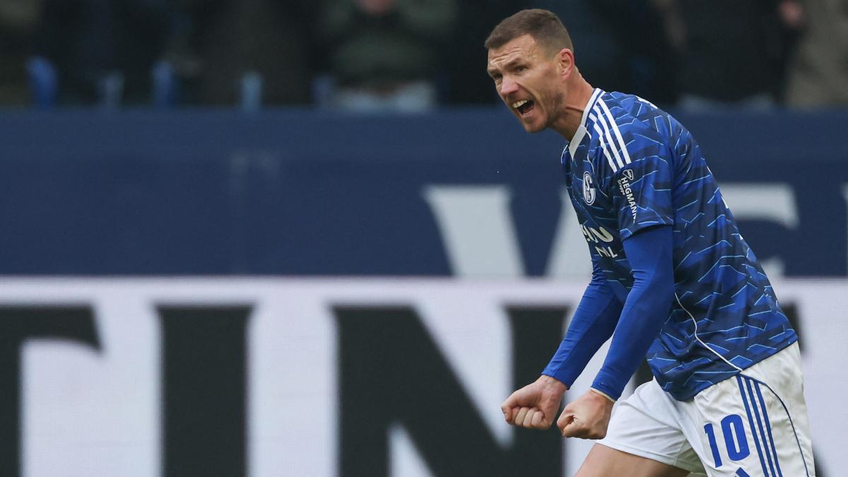 Luda plata koju je Paris FC ponudio Edinu Džeki otkrila!